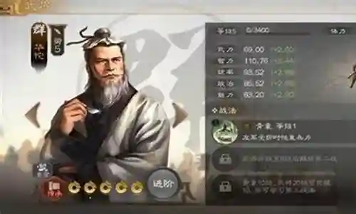 搭配华佗的最强阵容是什么插图
