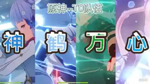神鹤阵容插图