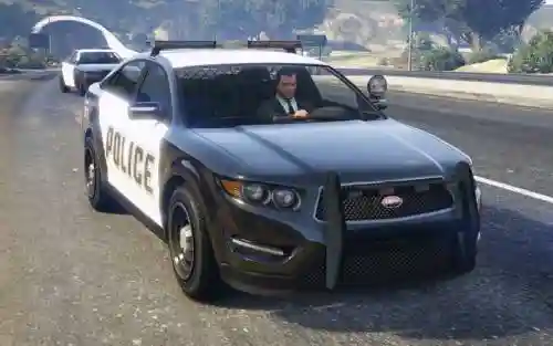 gta5巡逻队装备插图1 gta5巡逻队装备插图1