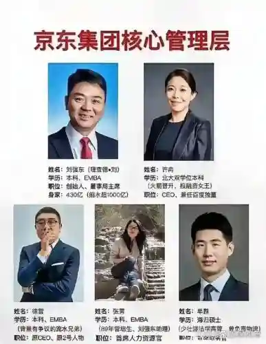 京东整阵容插图1