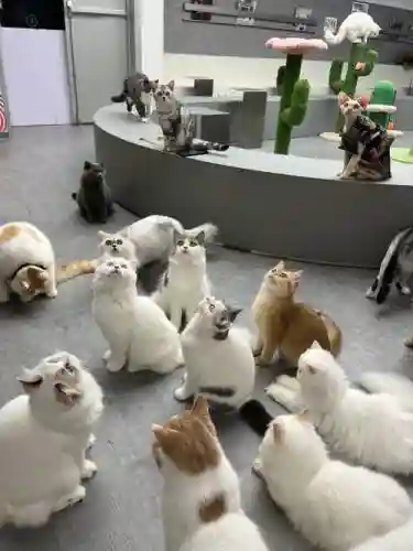 秘书猫咪阵容插图