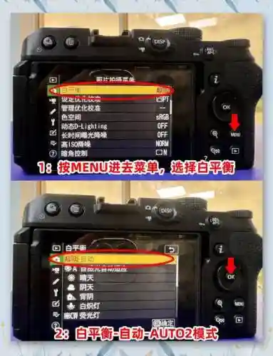 尼康摄影攻略插图