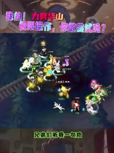 梦幻网页版华山阵容搭配插图
