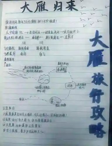 雁南飞攻略插图