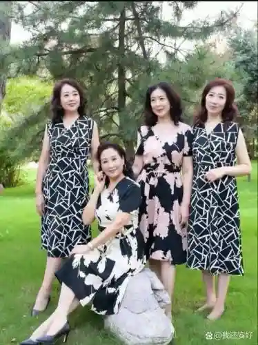 大妈搭配阵容插图