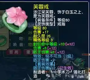 梦幻西游5开wdd灵饰插图