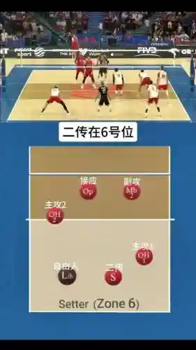 排球阵容搭配大全插图1