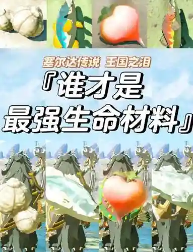 泪蜥蜴阵容搭配插图