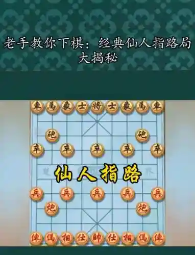 马路下棋阵容搭配插图1