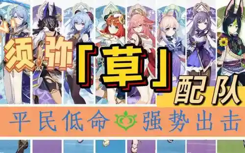 须弥推荐阵容搭配插图