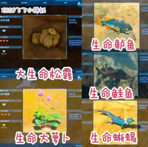 泪蜥蜴阵容搭配插图1