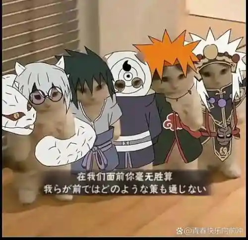 火影猫阵容插图