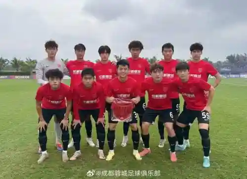 申花蓉城阵容插图