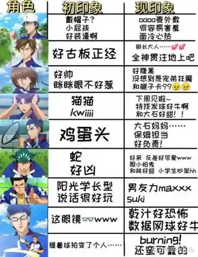 网球王子2005攻略_1插图