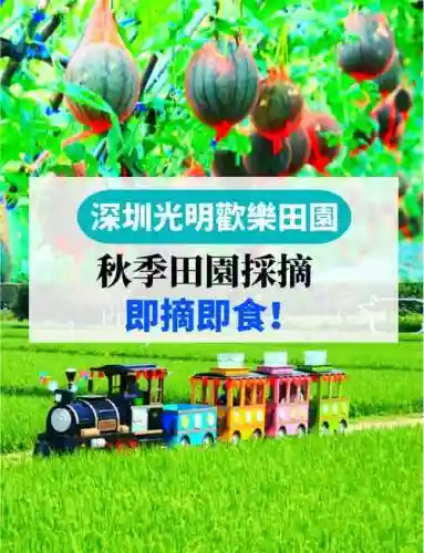 欢乐田园阵容插图1