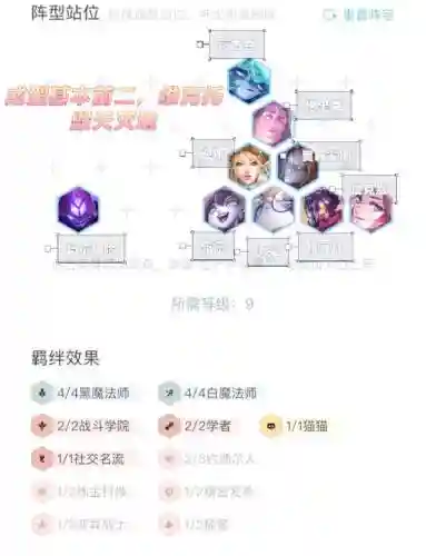 保维克托阵容插图