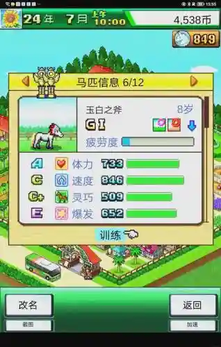 开罗赛马牧场物语攻略插图1