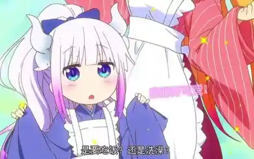 康娜阵容插图1