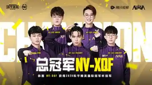 nvxqf夺冠阵容插图1