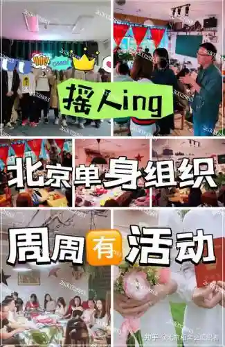 相亲阵容大全插图