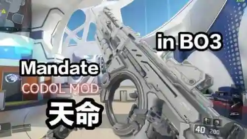 cod12变形武器插图1