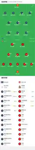 瑞士冰岛阵容插图