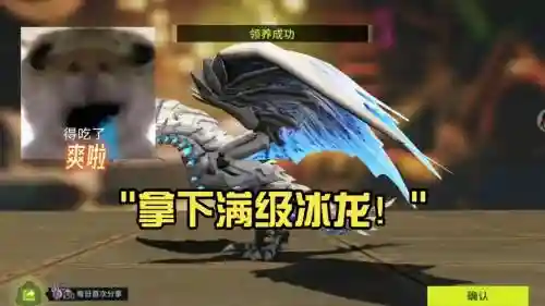 剑与家园冰龙攻略视频插图1