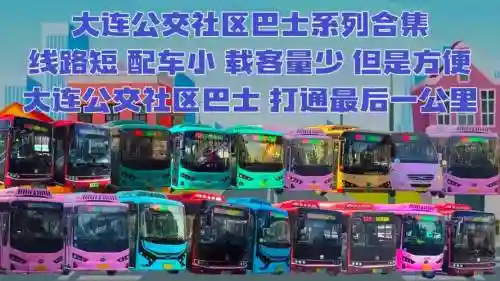 公交巴士阵容插图1