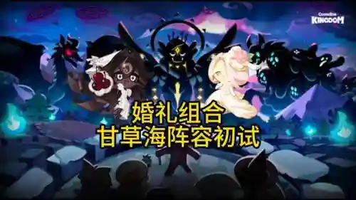 最强结婚阵容搭配插图