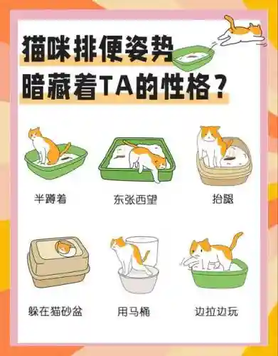 便喵的人物攻略插图