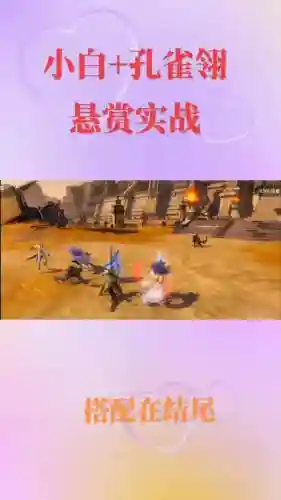 孔雀翎平民悬赏阵容搭配插图