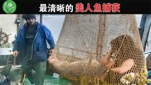 捕美人鱼技巧攻略插图1