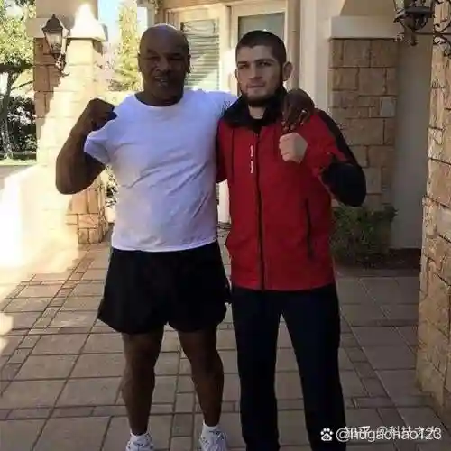 小鹰阵容处罚插图