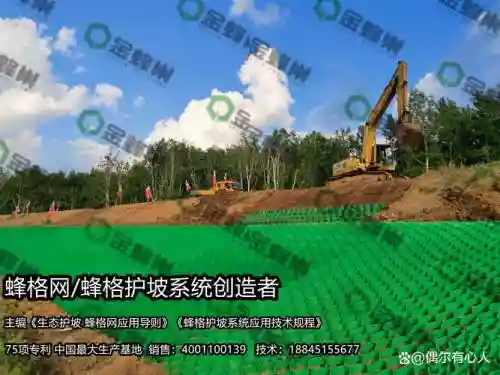 大米黑心林地攻略插图1