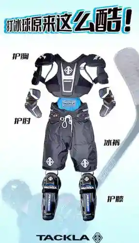 冰结带什么辅助装备插图1