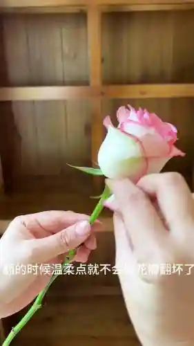 撕花瓣攻略插图