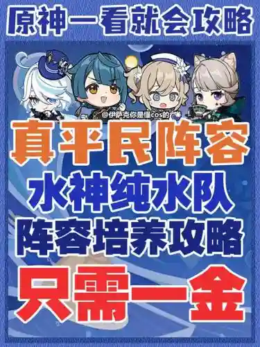 水龙葵阵容插图1