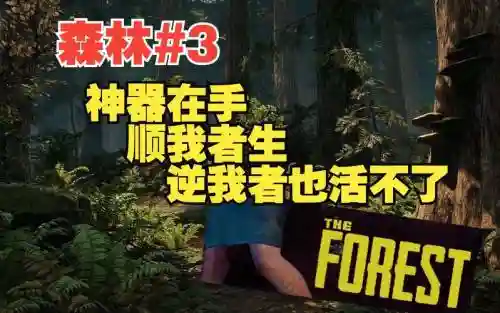 森林小游戏攻略视频解说视频攻略插图1