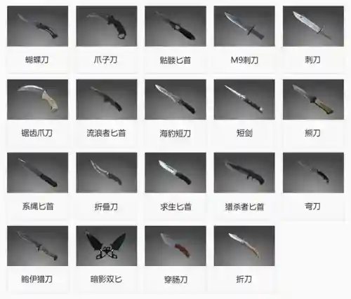 csgo武器名称插图1