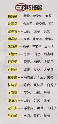 药主搭配阵容插图1