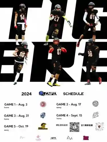 nfl黑豹阵容插图1