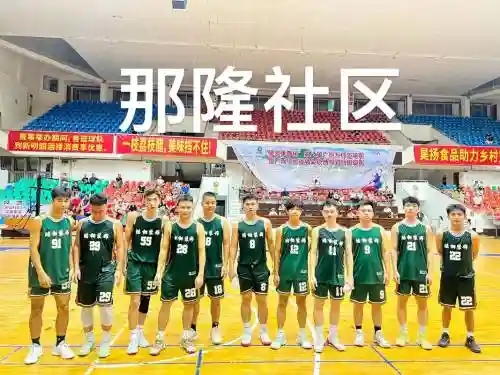 乡村阵容站位插图1