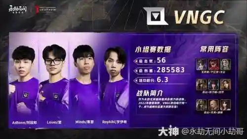 越南战队阵容搭配插图1