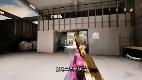 伽马武器箱出什么刀插图