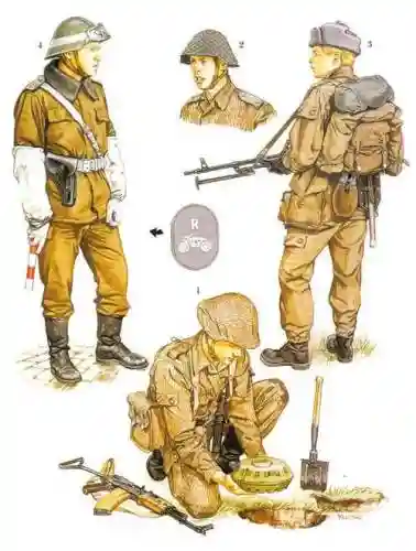 华约部队阵容插图