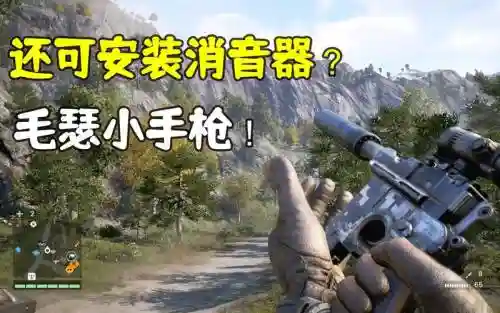 孤岛惊魂4武器在哪买_1插图1
