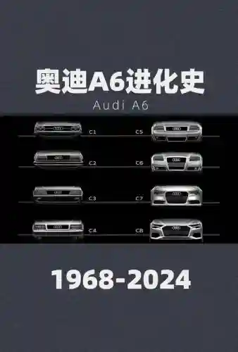 历史奥迪阵容插图