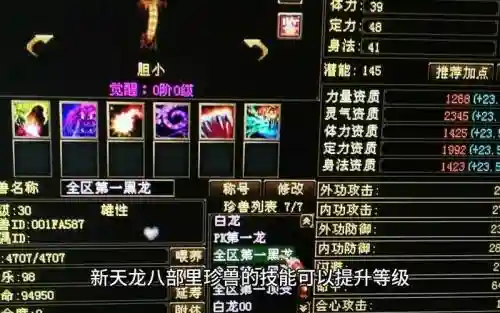 天龙八部宠物最多打几个技能插图1