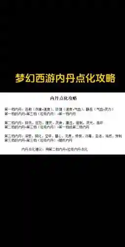 梦幻西游最好的低内丹都有什么插图1