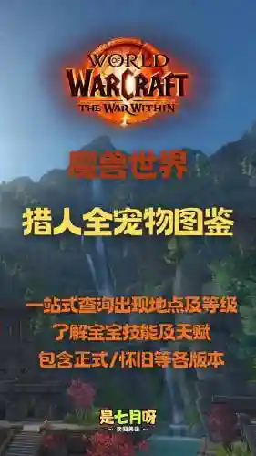 魔兽世界宠物战斗攻略_1插图1